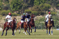 Polospillerne beh�ver b�de balanceevne og bold�je. (Foto: Jer�nimo Alba)