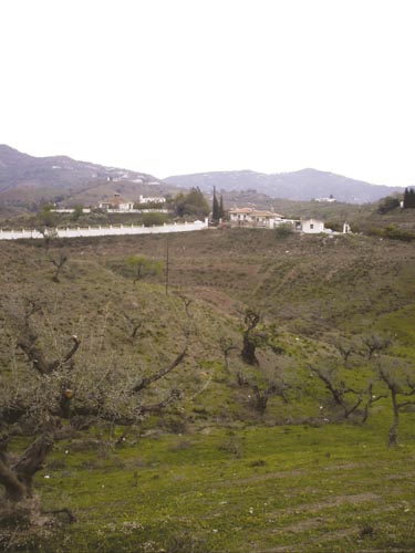 Cortijo Los Vargas.
