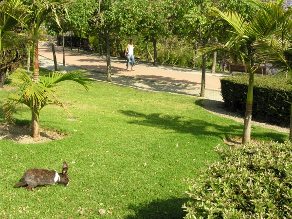 Paloma Park i Benalmadena