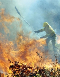 I to uger k�mpede historiens st�rste brandberedskab mod flammerne.