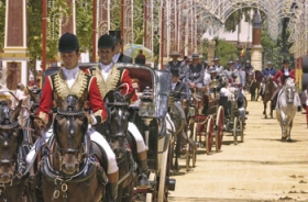 I løbet af dagen er hesten hovedperson på Jerez’ feria. I løbet af dagen er hesten hovedperson på Jerez’ feria.