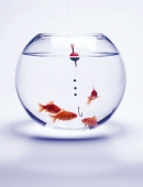© Gilles Cohen - Fotolia. © Gilles Cohen - Fotolia.