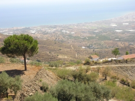 V�lez-M�laga