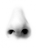 © makuba - Fotolia.com © makuba - Fotolia.com