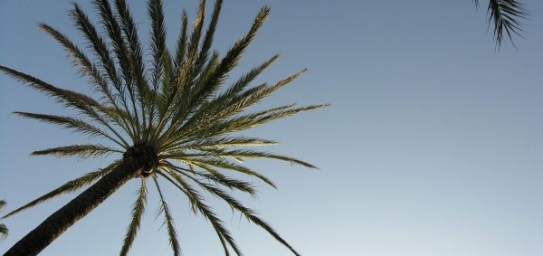Der er hoteller alle steder på Costa del Sol Der er hoteller alle steder på Costa del Sol