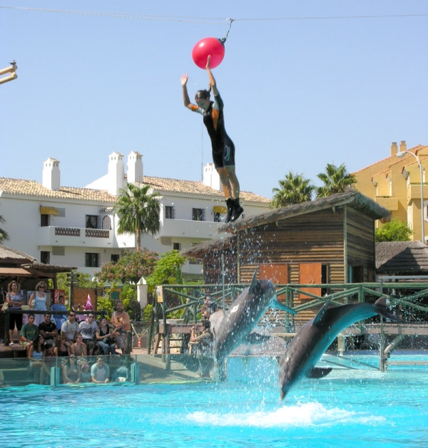 SELWO - Delfinarium i Benalmadena